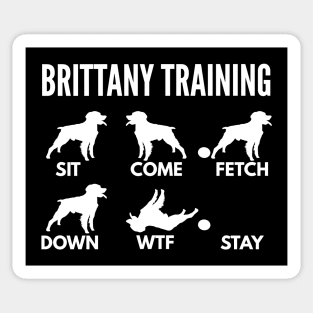 Brittany Training Brittany Spaniel Tricks Sticker